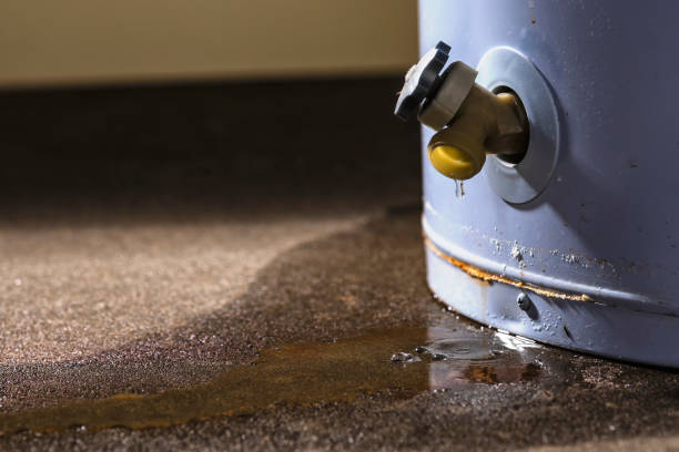 Best Sewage cleanup and water damage restoration  in Gas City, IN