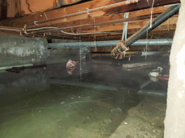 Best Water damage contractors near me  in Gas City, IN