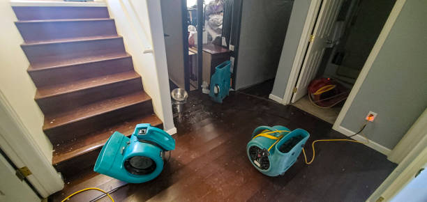 Best Flood restoration services  in Gas City, IN