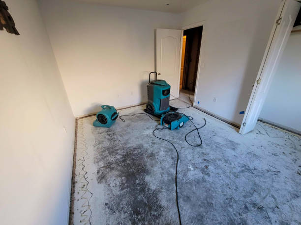  Gas City, IN Water damage restoration Pros