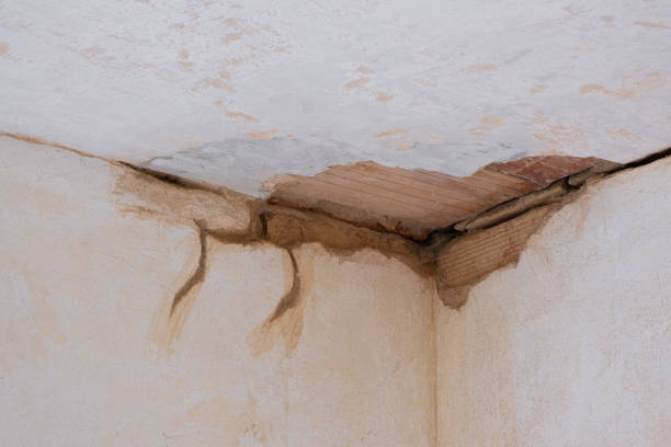 Best Flood damage cleanup  in Gas City, IN