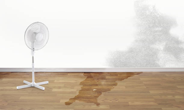 Best Local water damage restoration  in Gas City, IN