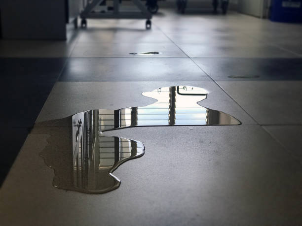 Best Carpet water damage restoration  in Gas City, IN