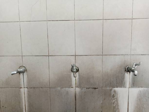 Best Professional water damage repair  in Gas City, IN