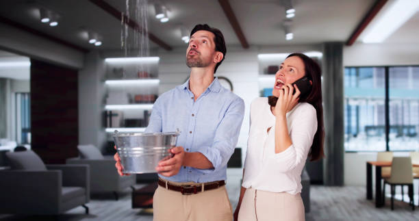 Best 24/7 water damage repair  in Gas City, IN