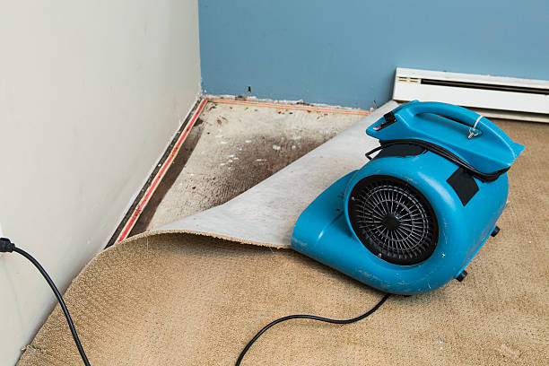 Best Residential water damage restoration  in Gas City, IN